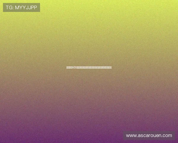 全面介绍K8电子网站的安全保障措施确保玩家资金安全与隐私保护